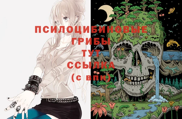 ПСИЛОЦИБИНОВЫЕ ГРИБЫ Алексин