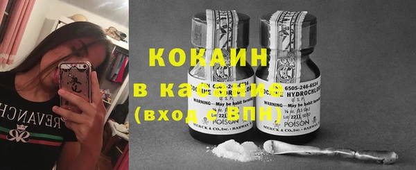 ПСИЛОЦИБИНОВЫЕ ГРИБЫ Алексин
