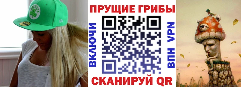 Галлюциногенные грибы Psilocybe  kraken зеркало  Ясный 